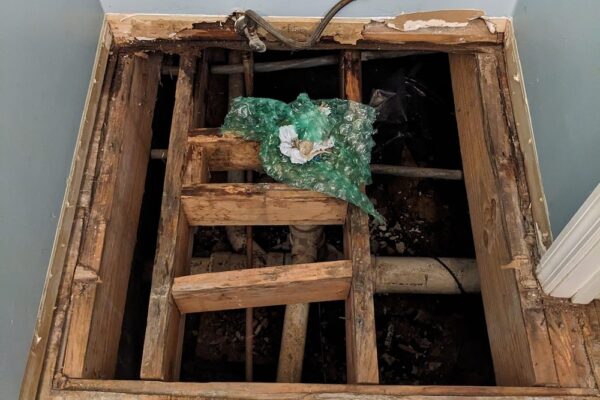 449606230_455922007376415_5596111451800784550_n 449606230_455922007376415_5596111451800784550_n