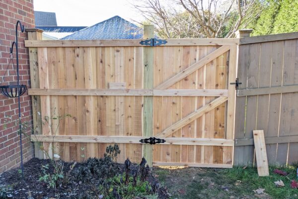 PXL_20231102_145942802 PXL_20231102_145942802