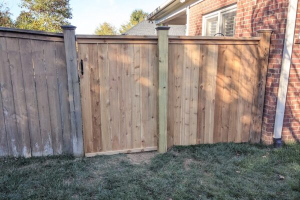 PXL_20231103_204847450 PXL_20231103_204847450