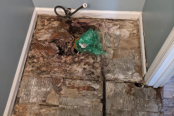 PXL_20240408_170929853 PXL_20240408_170929853