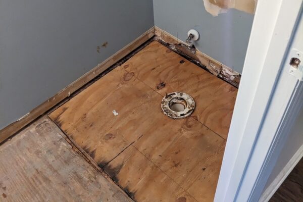 PXL_20240410_195905372 PXL_20240410_195905372