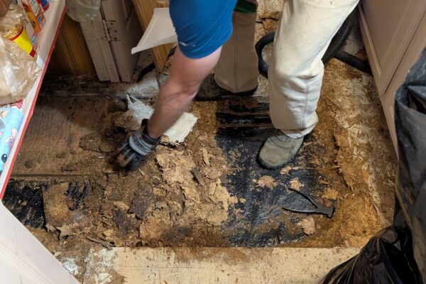 PXL_20241021_192212663 PXL_20241021_192212663