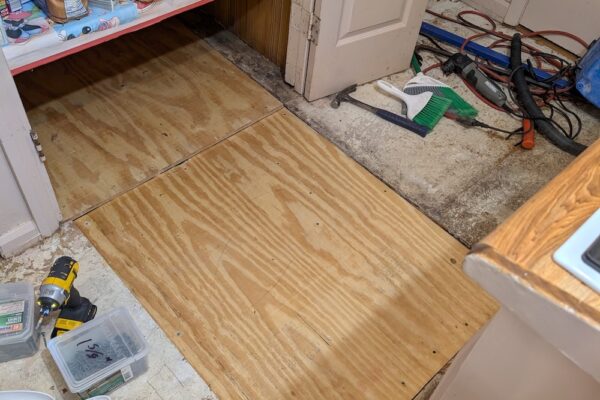 PXL_20241021_212055111 PXL_20241021_212055111