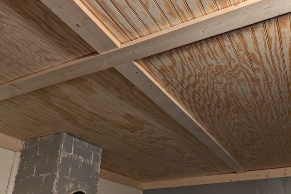 PXL_20241119_222926238 PXL_20241119_222926238